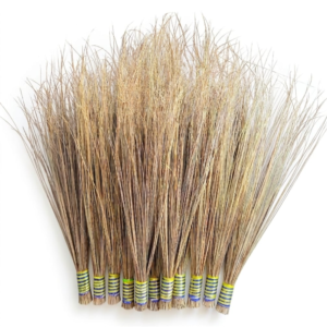 PLAM BROOM STICK
