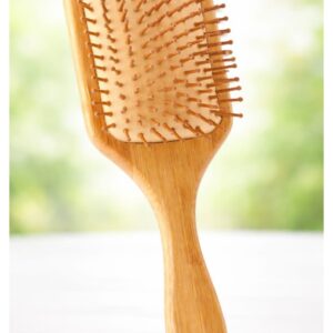 PADDLE BRUSH